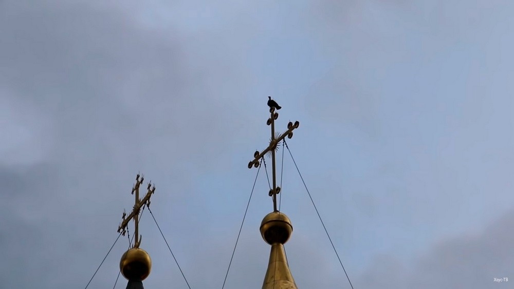 Великий Новгород Софийский собор голубь